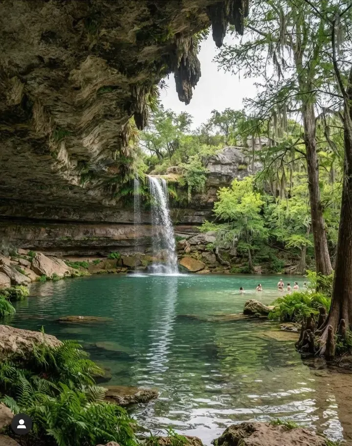 Iconic natural grotto pool and cascading crystal clear cold-water spring surrounded by dramatic overhanging limestone bluffs, lush ferns, and…
